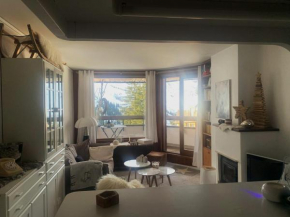 Avoriaz : Appartement cosy 4 pers, cheminée, balcon, proche pistes - FR-1-633-82